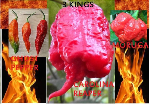 Combo pack ghost - pack,
